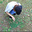 nosuke