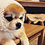 moff__0307