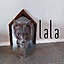 lala