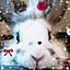 applerice2