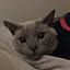 Riku