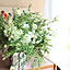 Rosemary0521