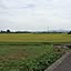 misyuhara