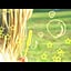 riiika03