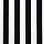 iiis