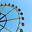 apparetomonon