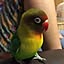 cocochan