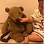 little_sunshine