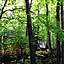natural-sinple.28