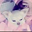 Akemi