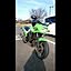 ninja06191213