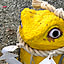 yuuca