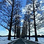 yanyon0194