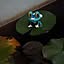 fumigon