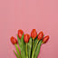 bbh_ls
