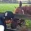cantaro0614