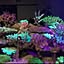 aquarium_sea