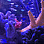 room_5813440