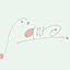 saro