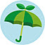 Forest_Umbrella