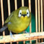 watayuki
