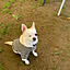 shiro