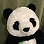 tanuki