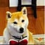 yuka