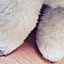 taro0808.sc