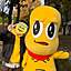ONP72Bear