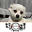 hime1026