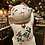 korokoromiotaro