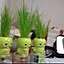 kokeshi