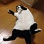 Fumi