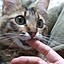 mosuke