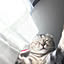miomio