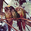 Happybird