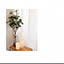w._.w_myroom