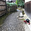Kamomari