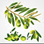 T-olive