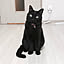 kuro