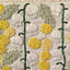 nekotoshisyuu