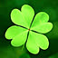 clover