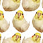ruchicocco