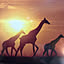 redgiraffe