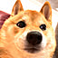 Kotaro