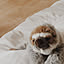 inu