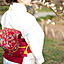 miyabi