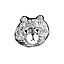 kuma