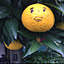 marimomari